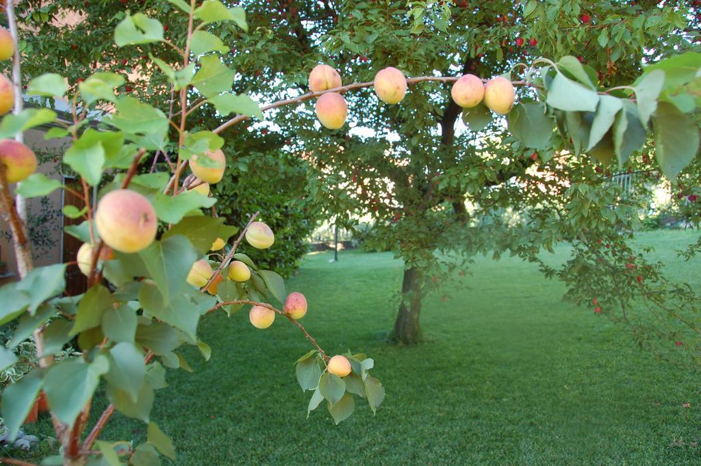 ليتْسّينو B&B Cherry En Rose الغرفة الصورة