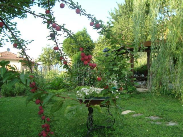 ليتْسّينو B&B Cherry En Rose المظهر الخارجي الصورة