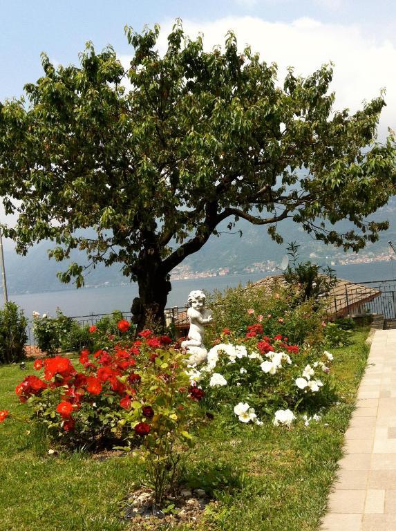 ليتْسّينو B&B Cherry En Rose المظهر الخارجي الصورة